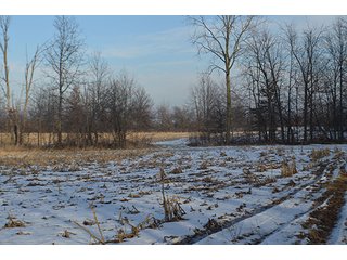 Property photo 49 - FARMLAND AUCTION, 60+/- Acres in 6 Tracts ranging from 4 to 20 acres & in combinations!